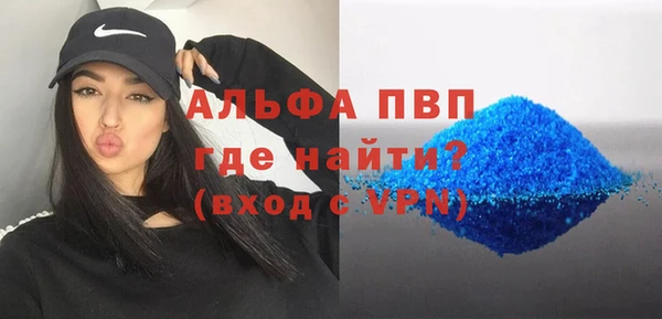 прущий лед Богданович