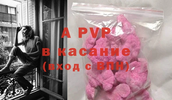 прущий лед Богданович