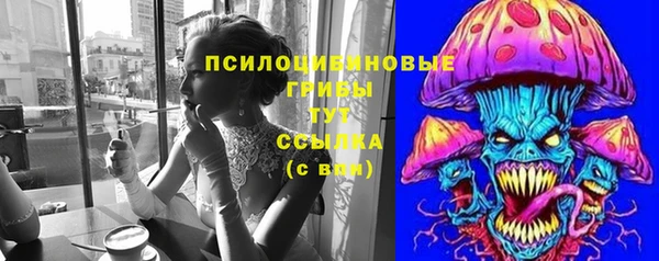 прущий лед Богданович