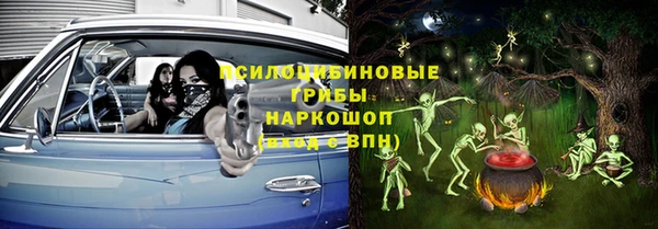 прущий лед Богданович