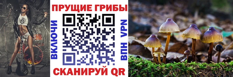Псилоцибиновые грибы MAGIC MUSHROOMS  кракен ссылки  Палласовка 