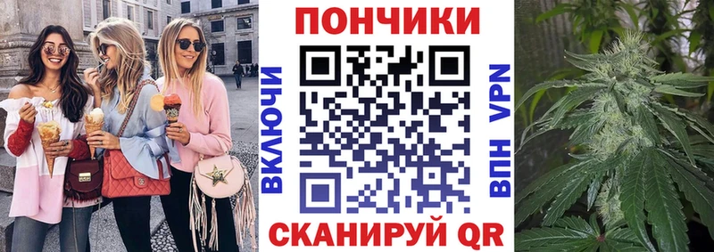 купить наркоту  Палласовка  Каннабис сатива 